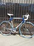 Cursiera Francesco Moser Campagnolo