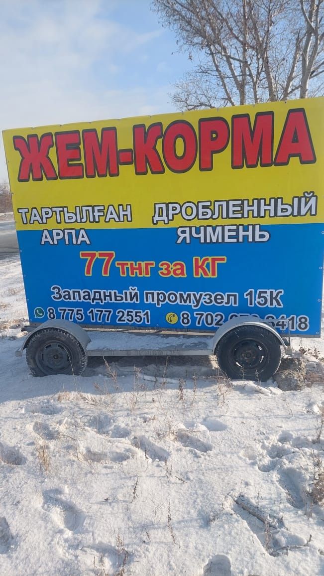 Арпа Жем Тартылган арпа