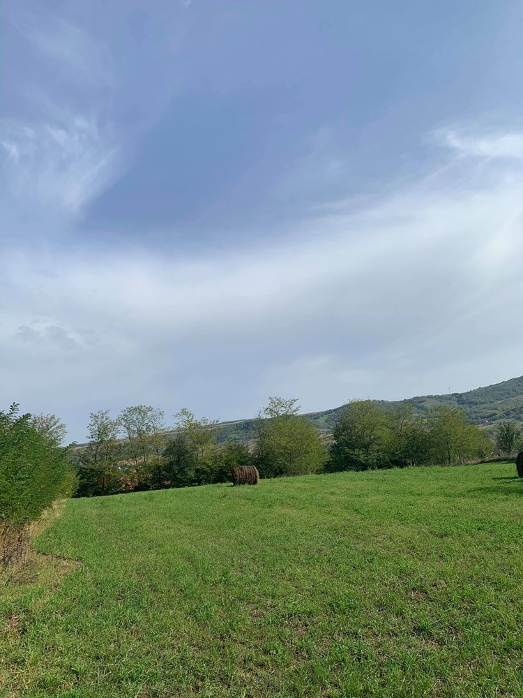 De vanzare teren intravilan 5160 mp - Bogdanesti