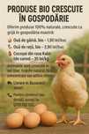 Carne si oua bio