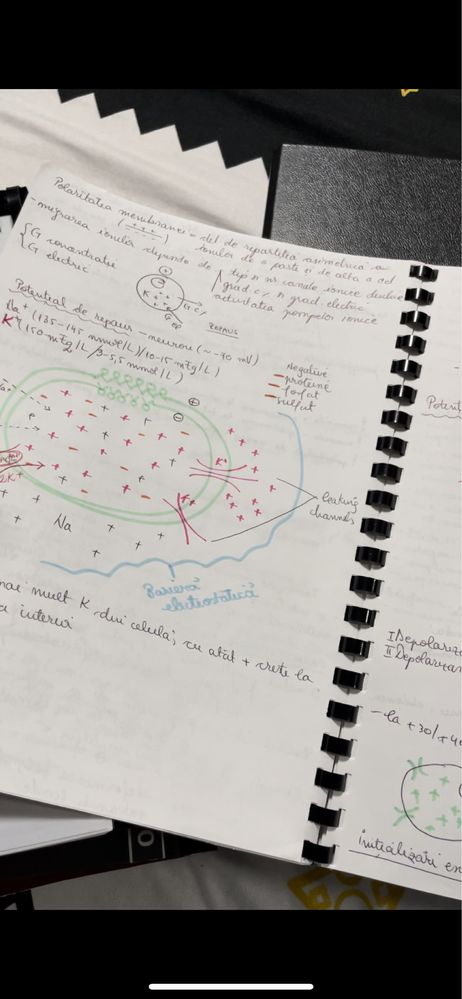 Caiet fiziologie an 1 medicina notite