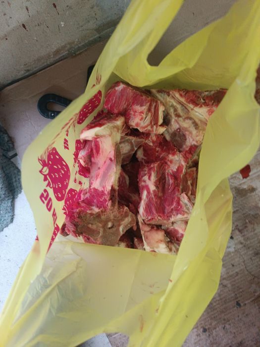 Печен,дегем  кости для сабаку