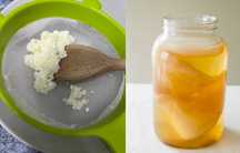 Ciuperca kefir (chefir) o porție + SCOBY kombucha și lichid starter