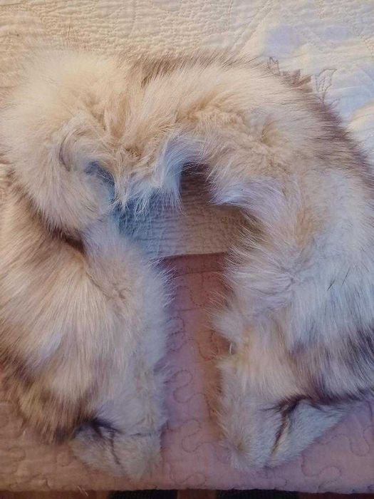 Guler          din          blană de vulpe argintie