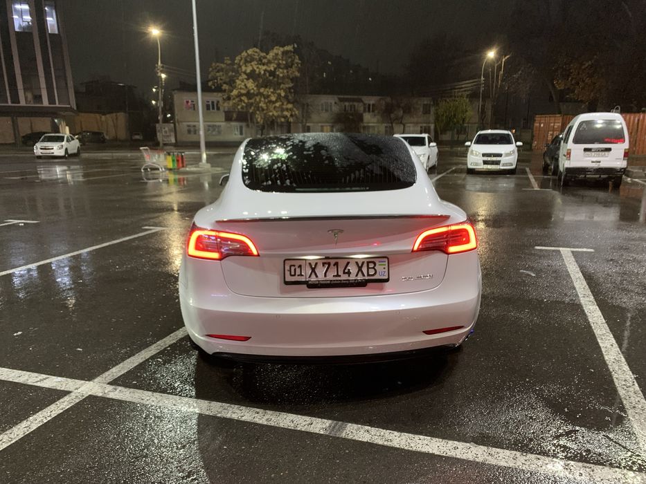 Tesla model 3 dual