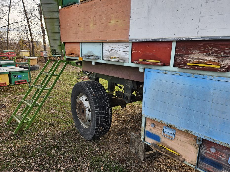 Vand pavilion apicol