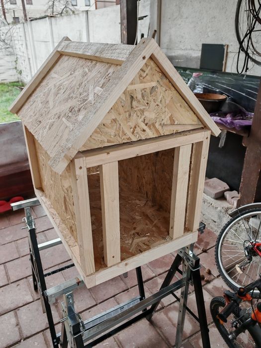 Custi pt caini orice model