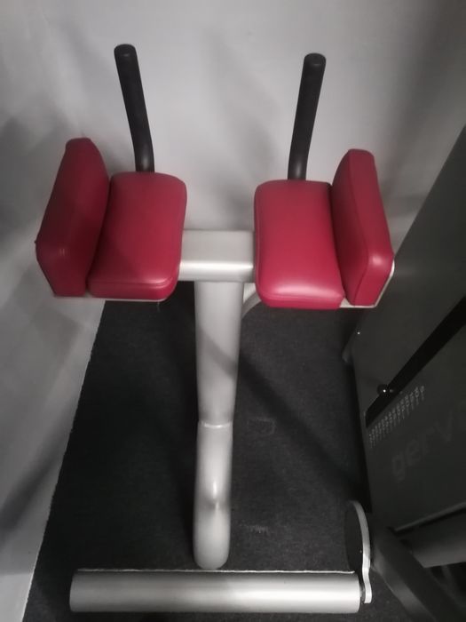 Aparat fitness ptr. fesieri