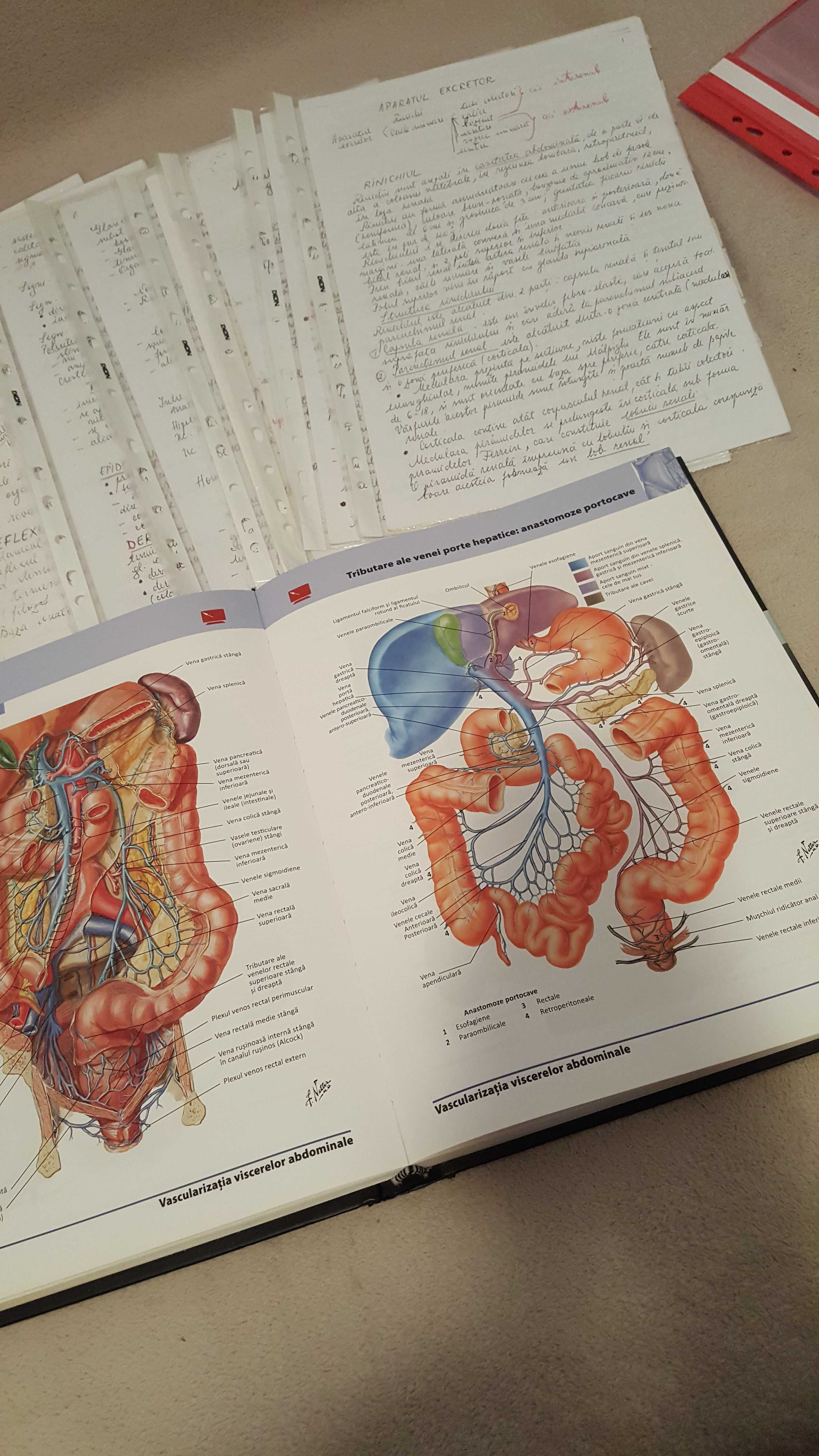 Meditatii Biologie BAC si Admitere la medicina