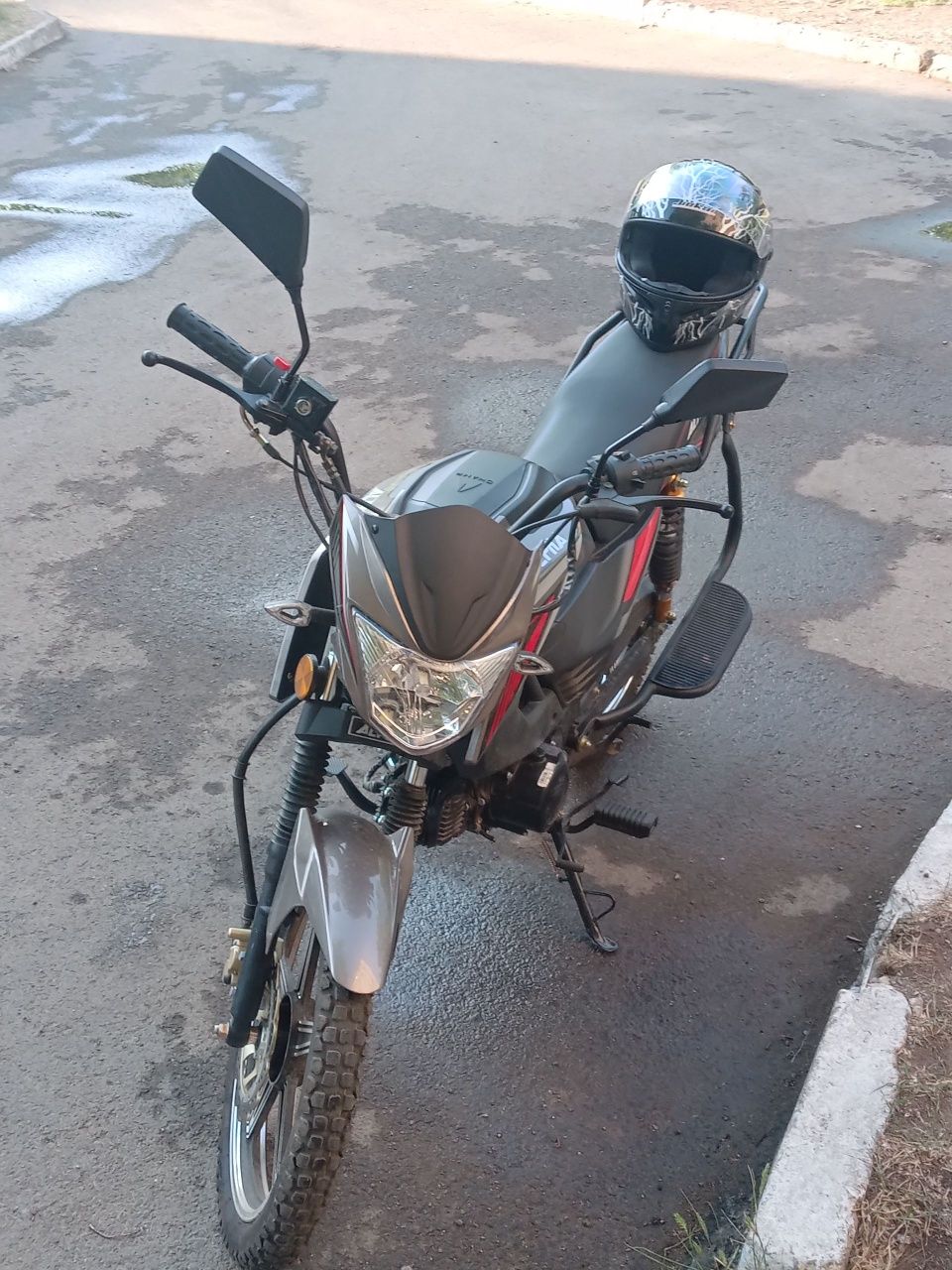alpha rs12 champ