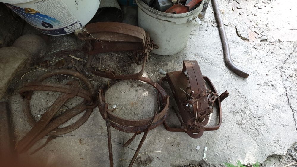 Қақпан қасқыр,борсық түлкі ит аңға