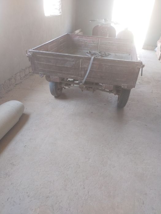 Muravik bor holati yaxshi