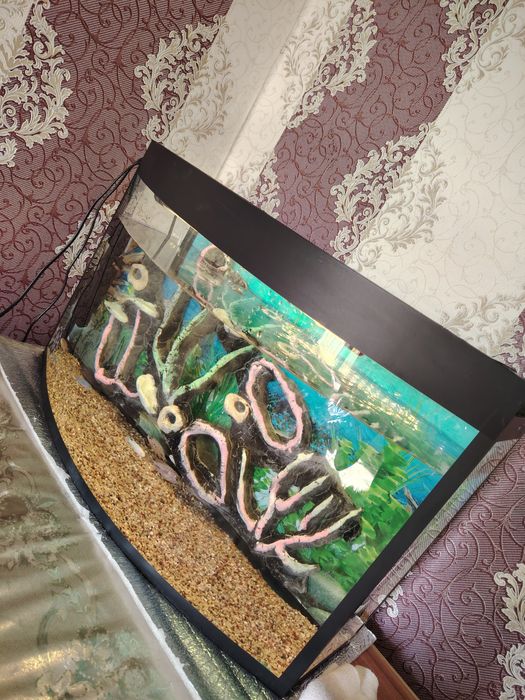 Akvarium Avalniy 60Litr komplekt