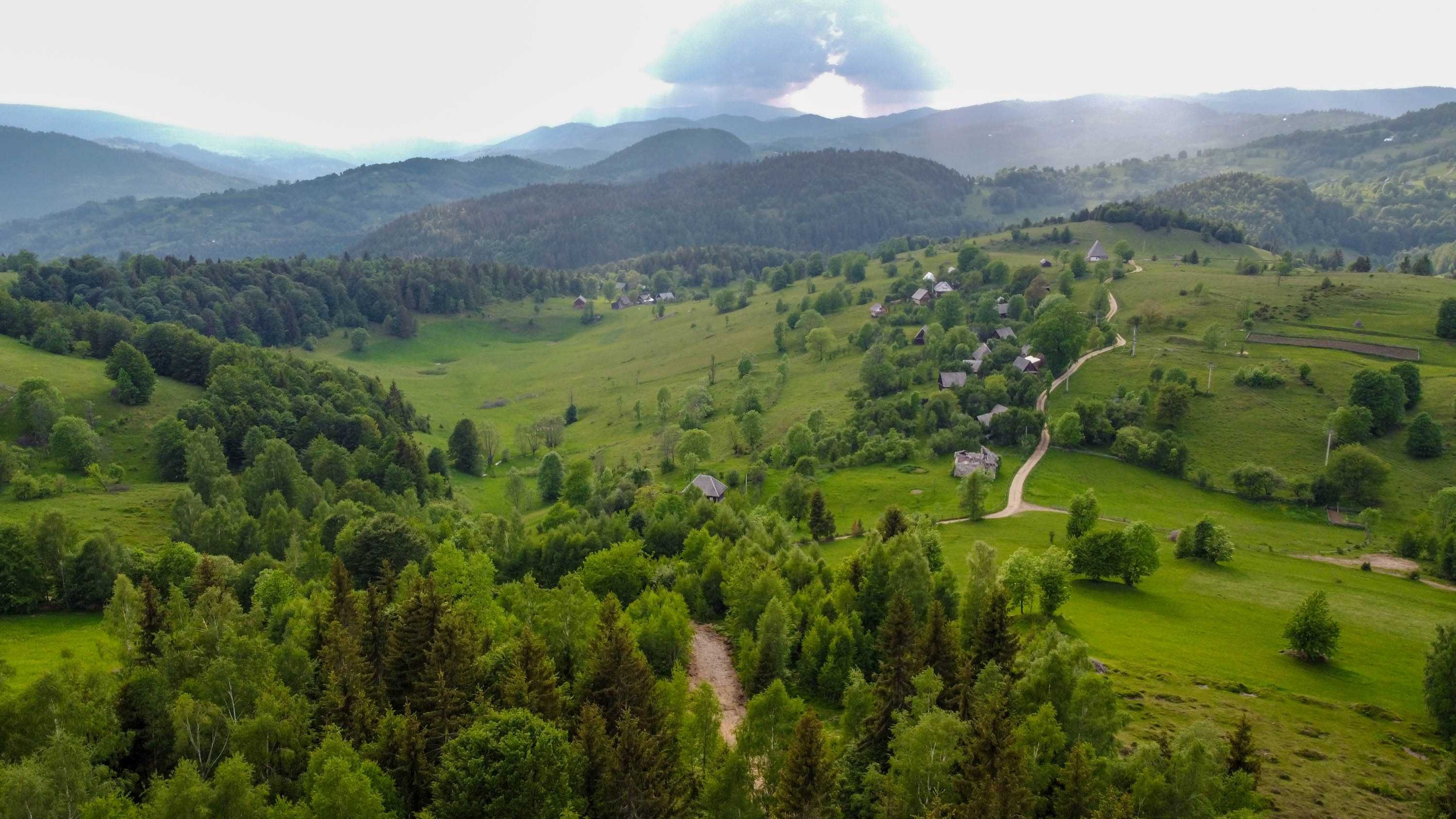 Teren cabana in Apuseni