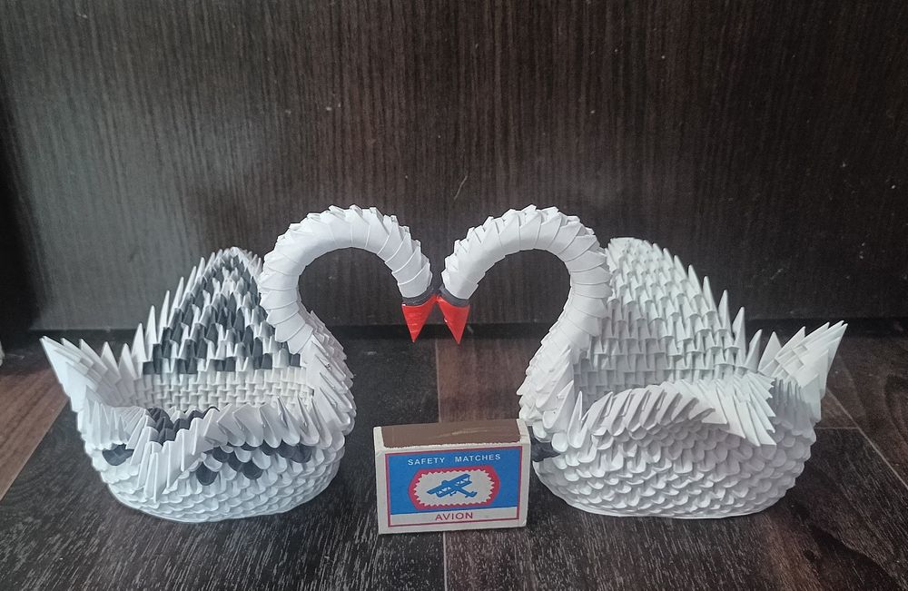 Пара белых лебедей