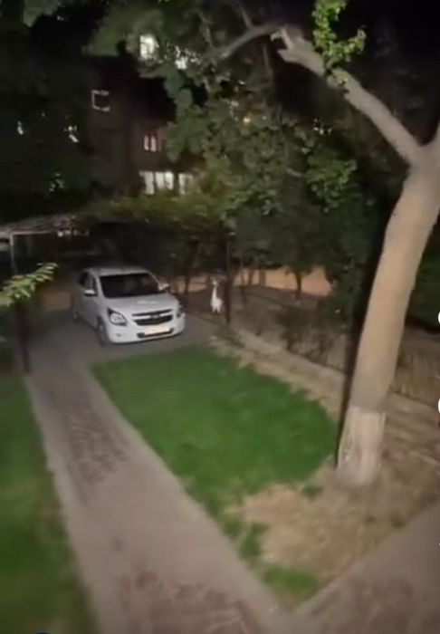 Аренда квартира Юнусобод 19 кв 3/1/5