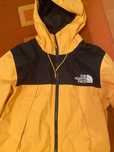 Geaca North Face Primavara