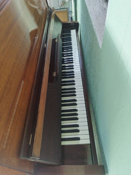 Пионина сатылады жағдайы жақсы