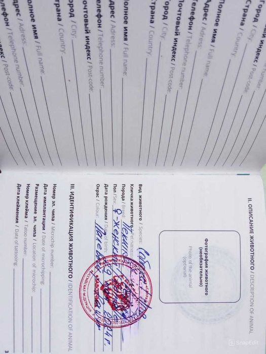 Продаются элитные чистокровные щенки породы «Пекинес»
