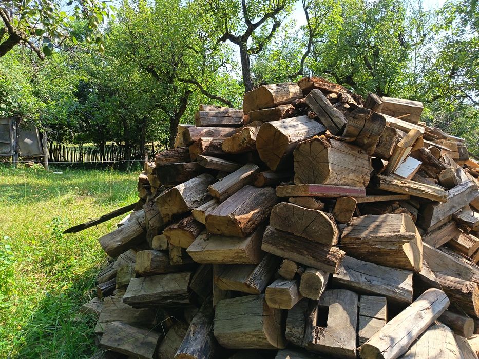 Lemn uscat de foc stejar, prun