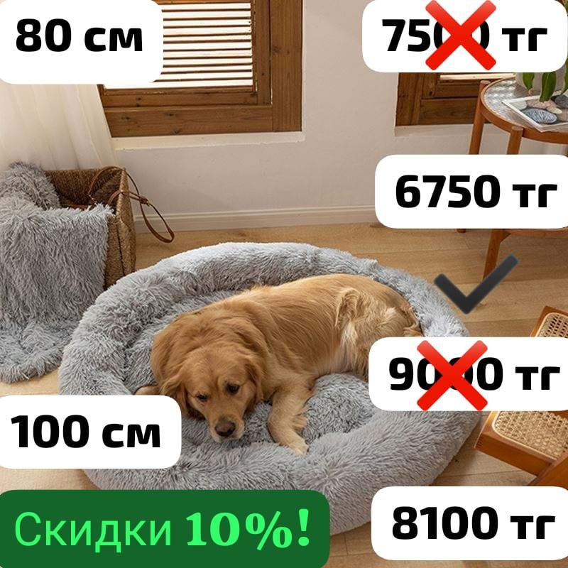 Лежанки для кошек и собак