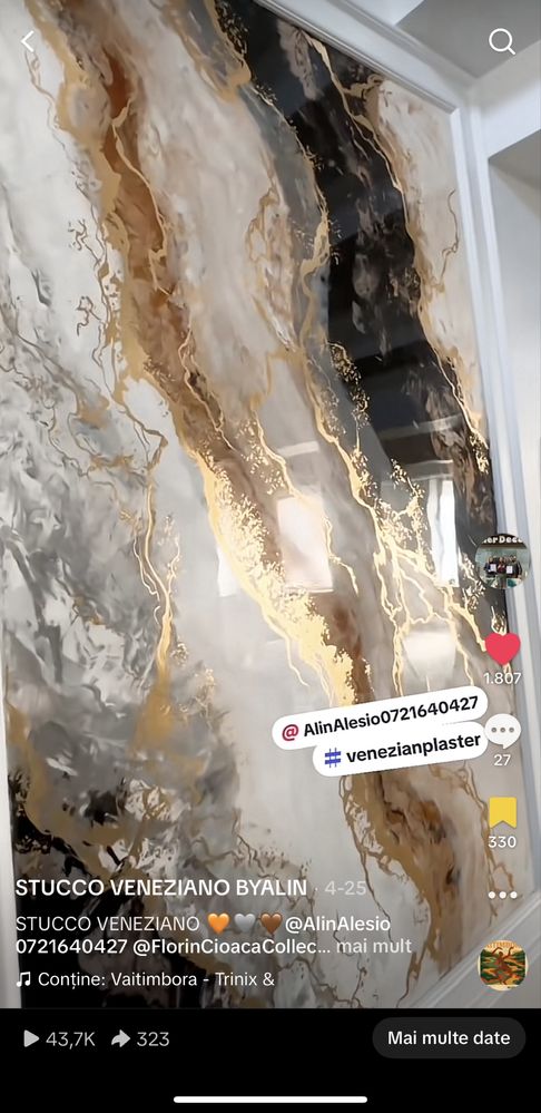 Stucco Veneziano 2025!! !Decoratiuni de lux in toata Romania!!!