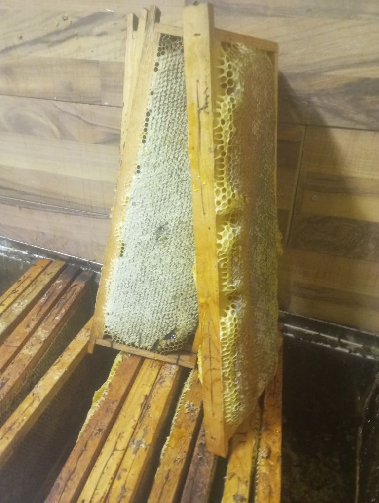 Продавам пчелен мед