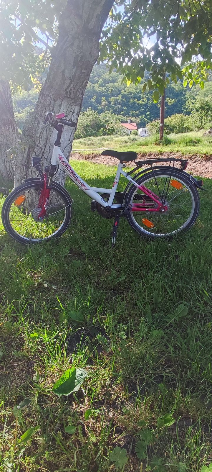 Bicicletă Pegasus copii 600 Ron