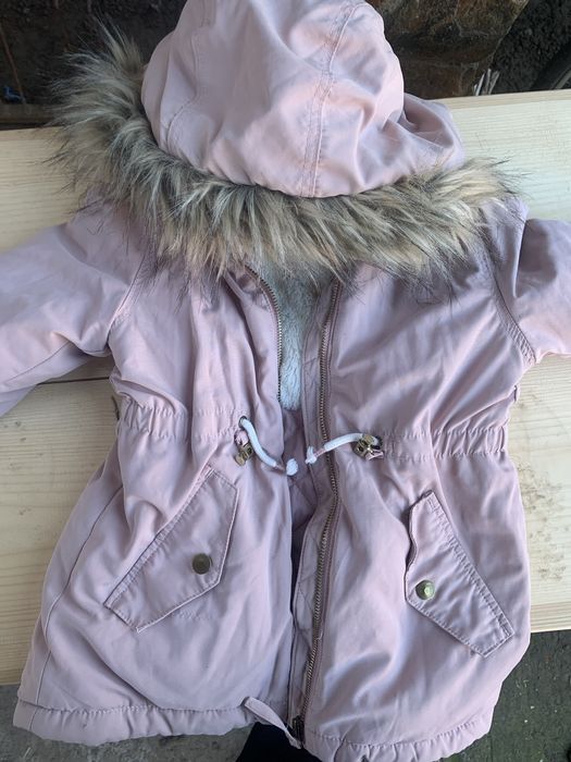 Geci fetite diverse marimi