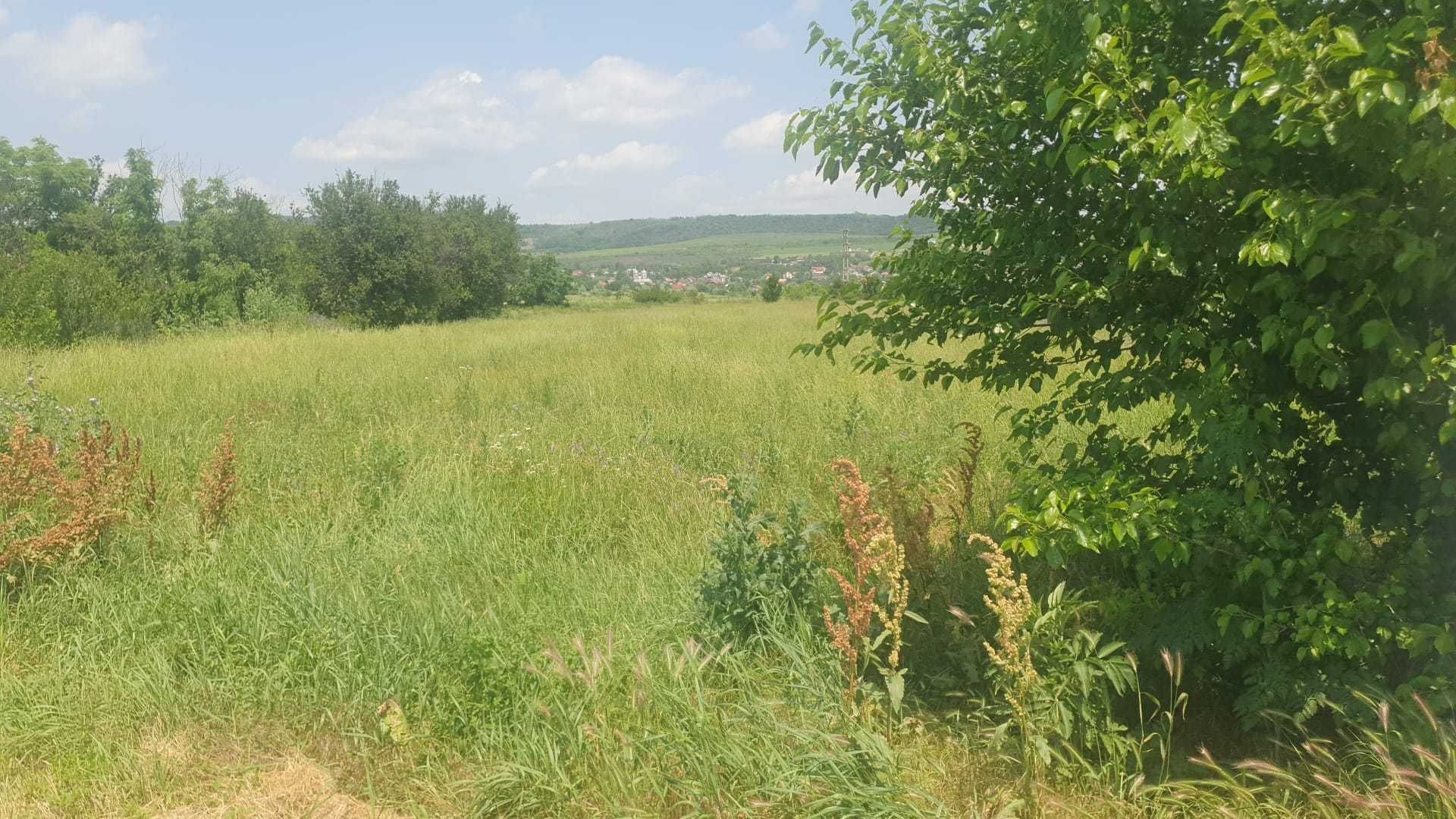 Teren 3580mp  zona Muzeul Golesti Arges
