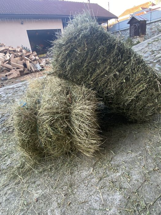 Vand baloti fan calitate superioara