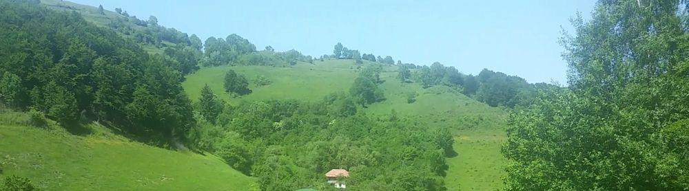 Casa traditionala Ramet  cu teren 1.3 ha si padure schimb mb trac 1600