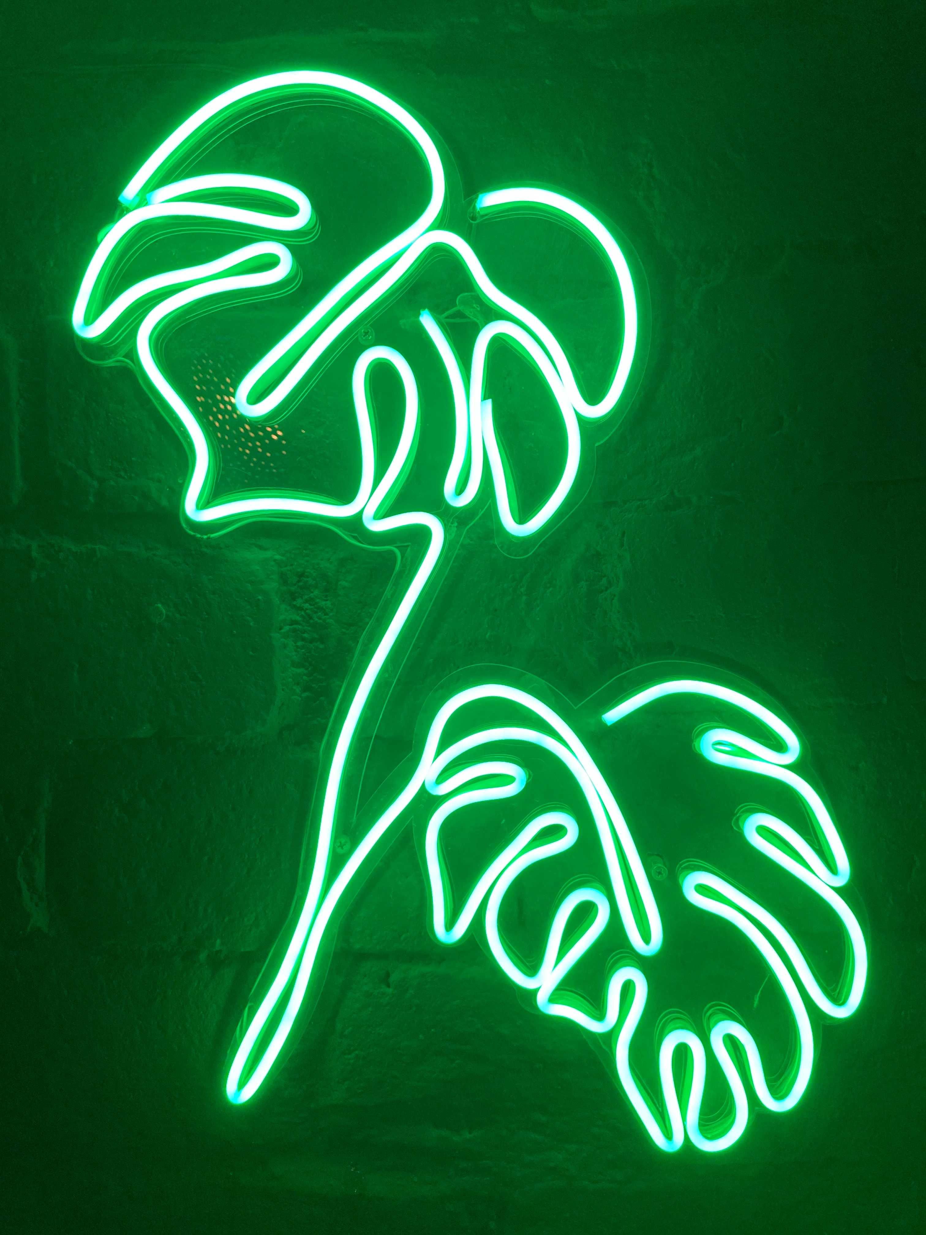Semne neon custom made