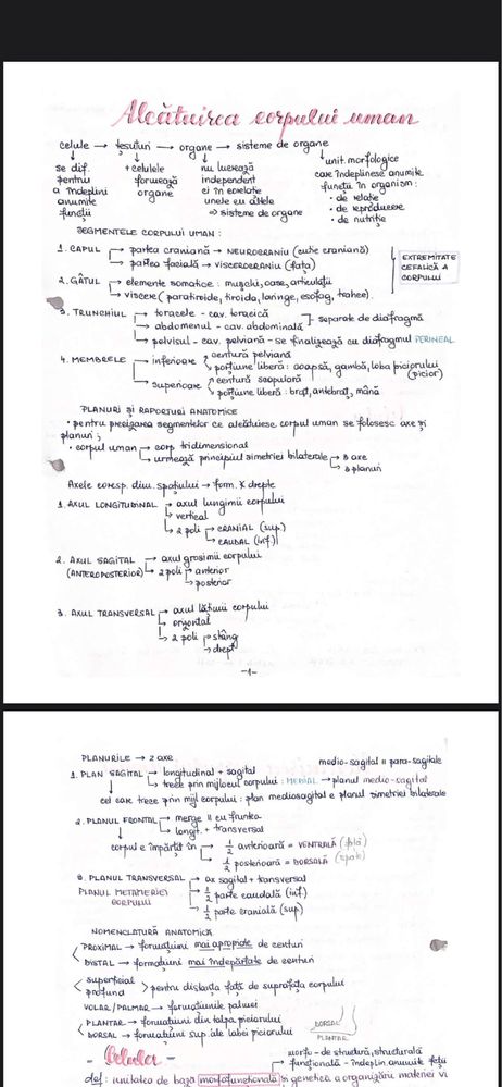 Material pdf admitere medicina- corint