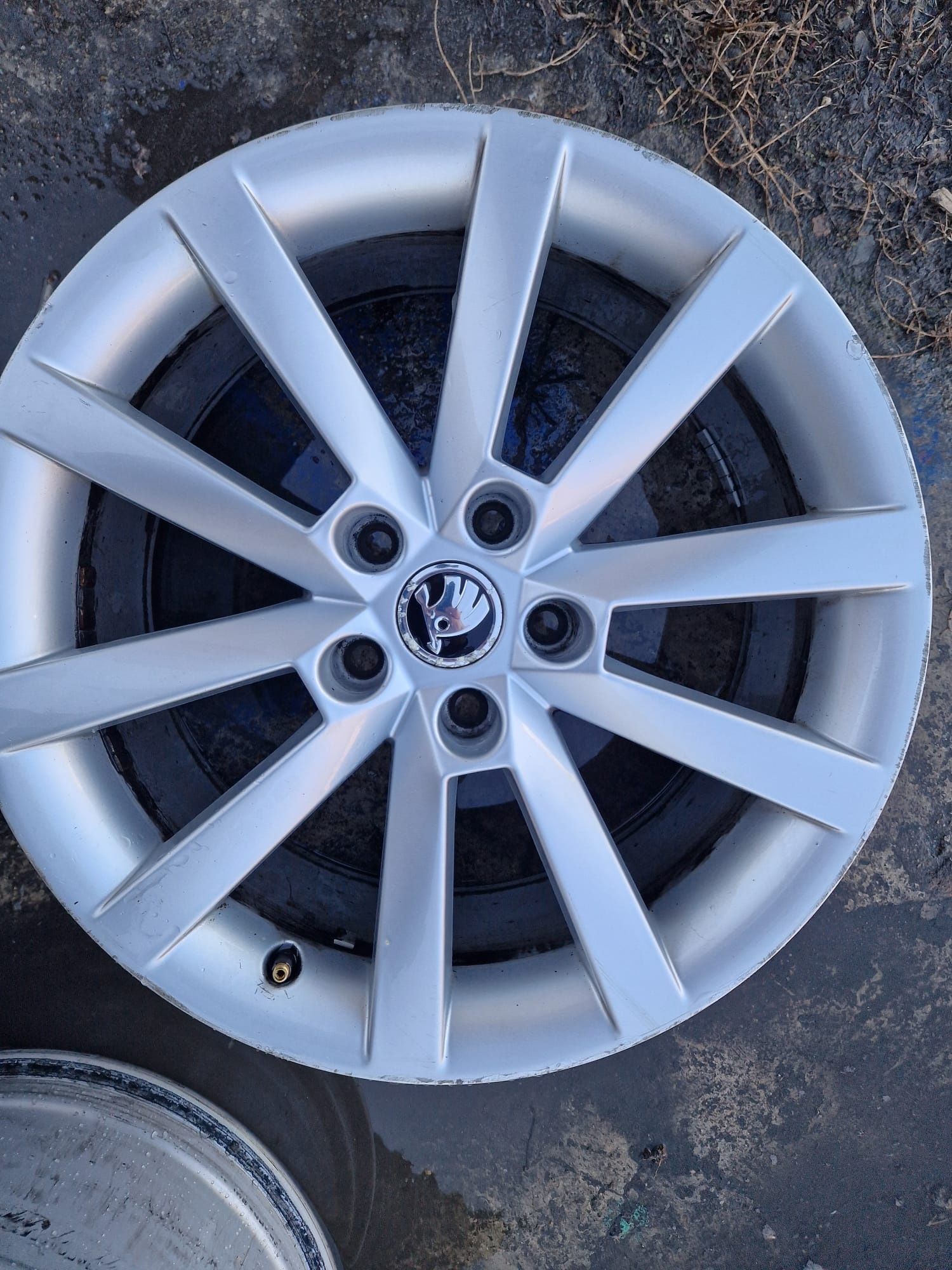 Vand jante skoda