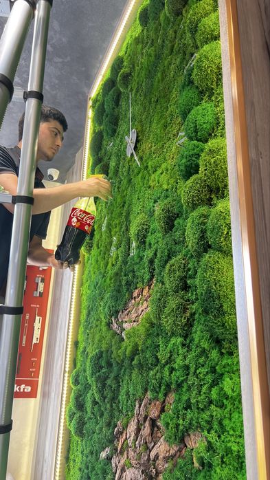 Обработка фито-стены из стабилизированного мха