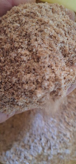 Ekalogik toza kunjara