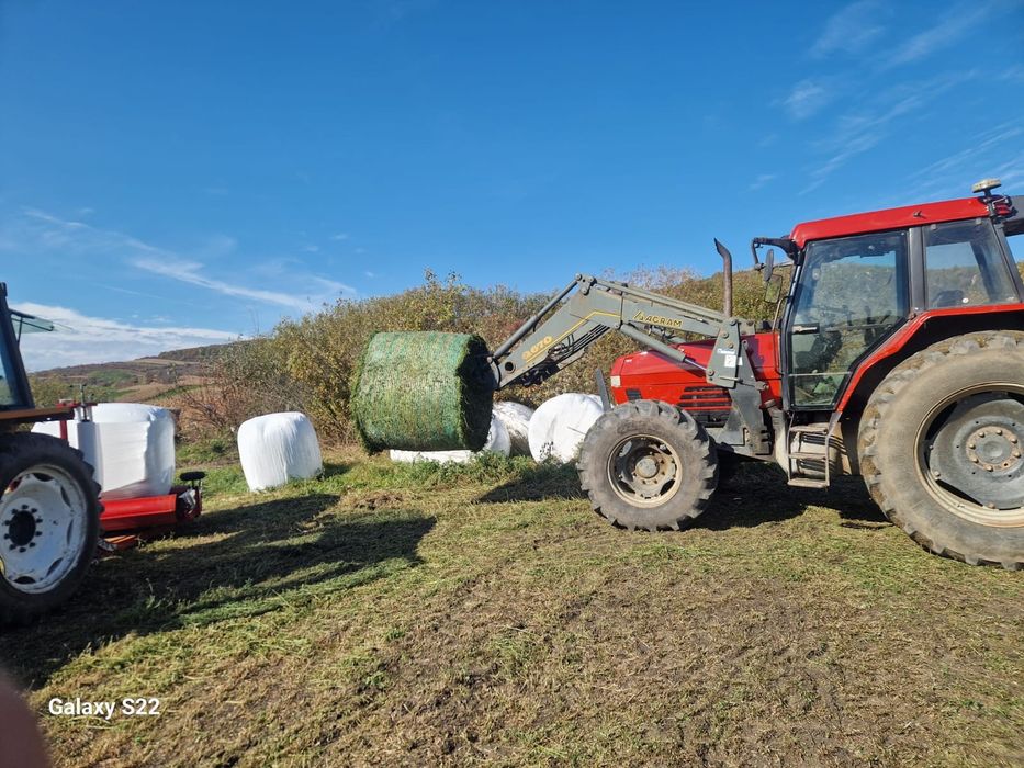 Baloti de lucerna infoliați