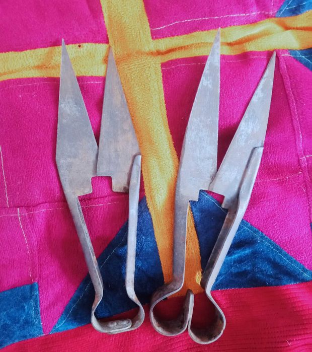 Қой қырқатын қайшы сатылады.