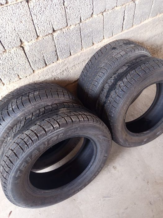 Зимние шины Triangle