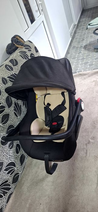 Vand Scoică Bebelusi