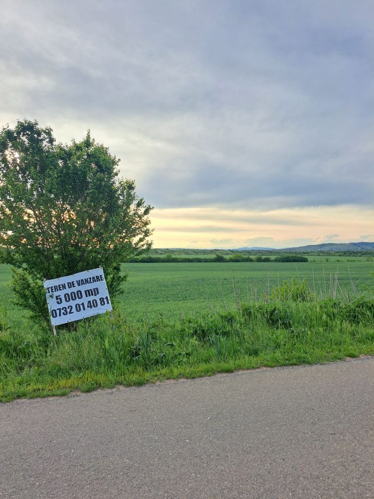 Teren de vanzare, Bucov, 5000mp