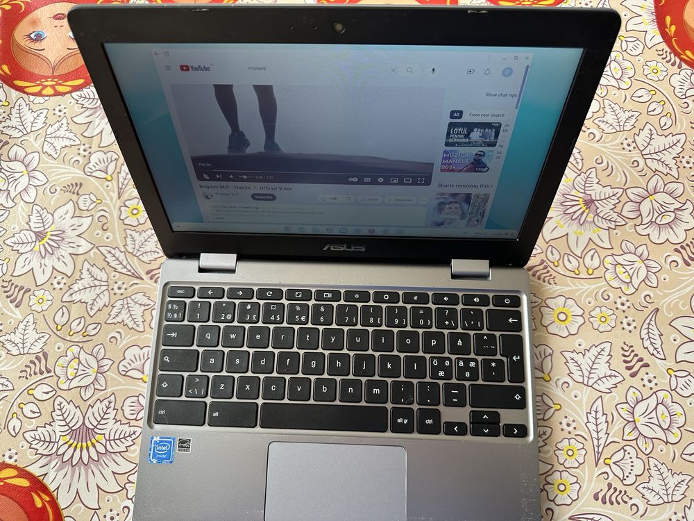 Chromebook Asus C223N