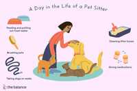 Pet sitter Bucuresti