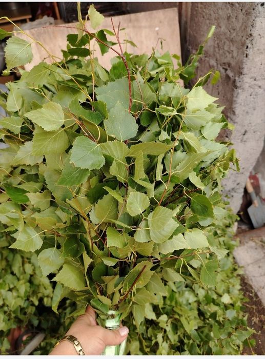 Продам веники берёзовые!