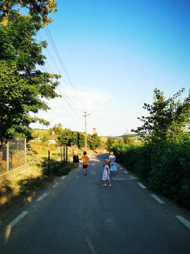 Manolesti Intravilan