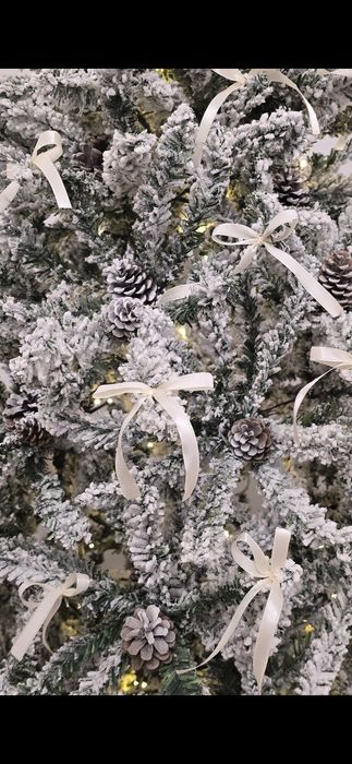 Brad artificial nins