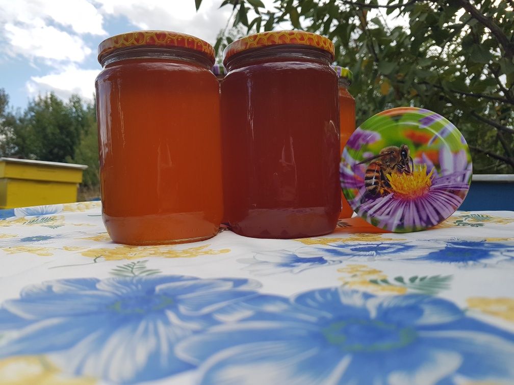 Български домашен пчелен мед