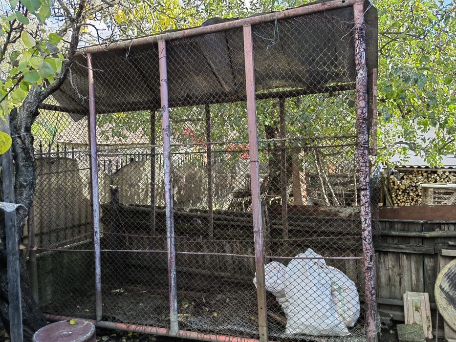 Costei pentru malai de vânzare