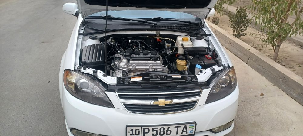 Jentra sotladi poliny navarot